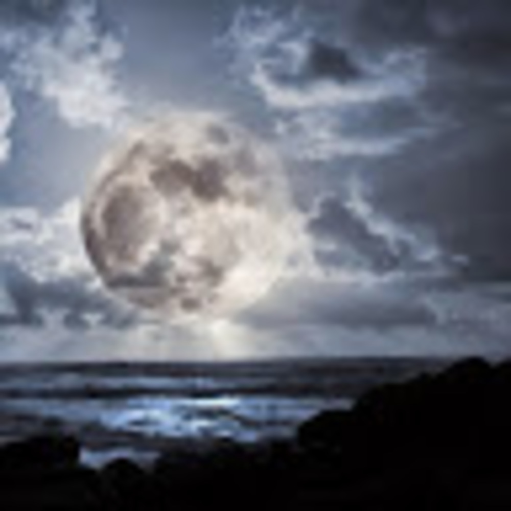 Meet your Posher, Jamiestar